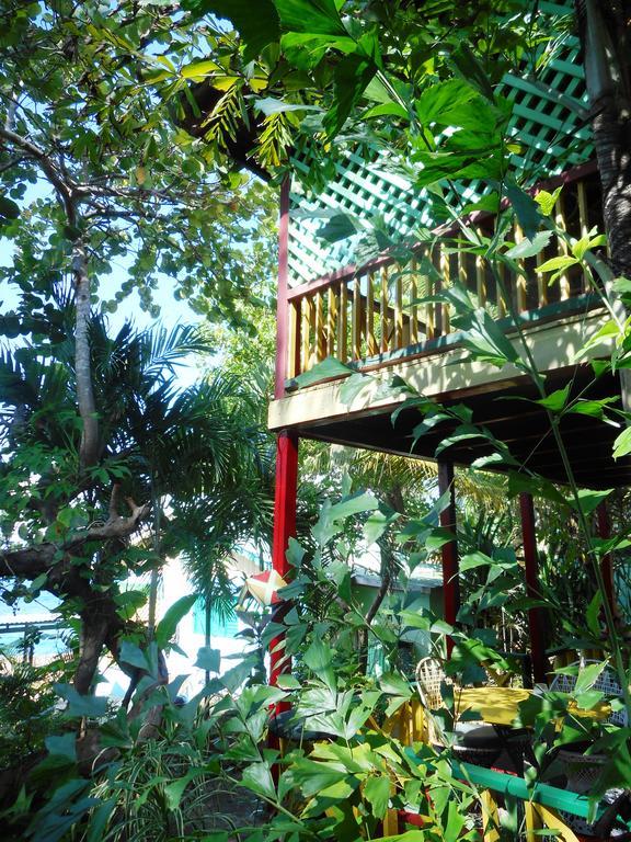 Banana Shout Resort Negril Exteriér fotografie