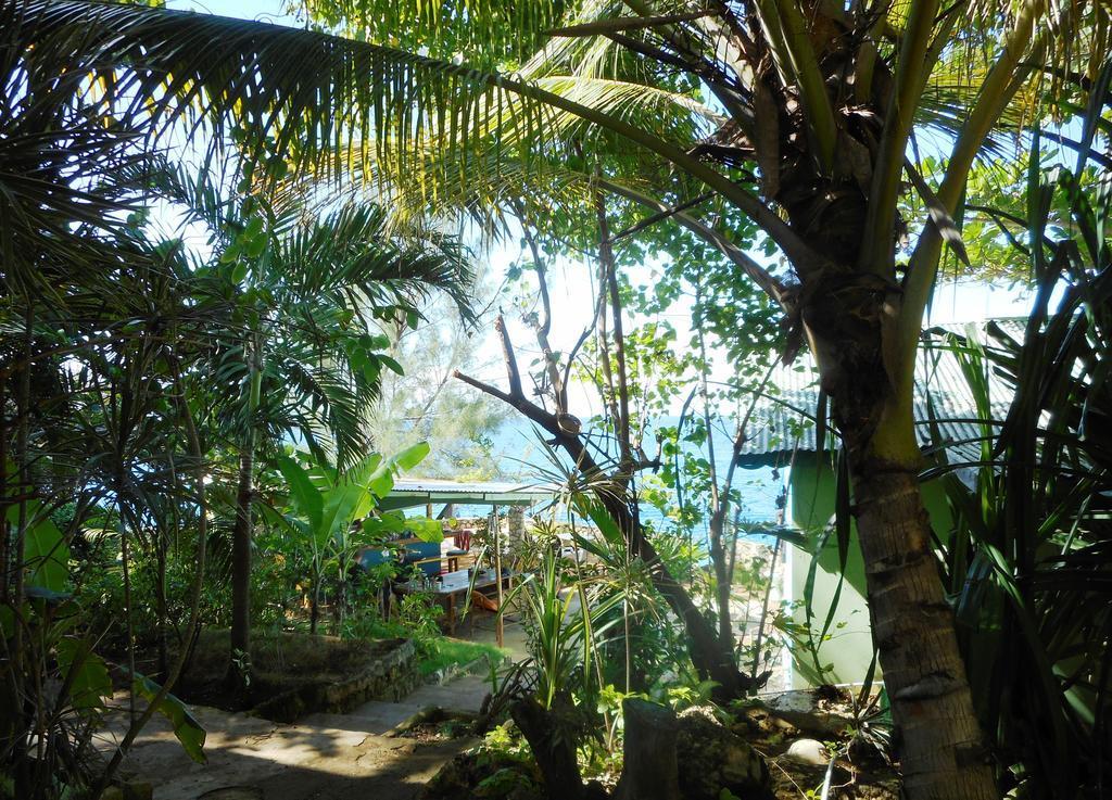 Banana Shout Resort Negril Exteriér fotografie